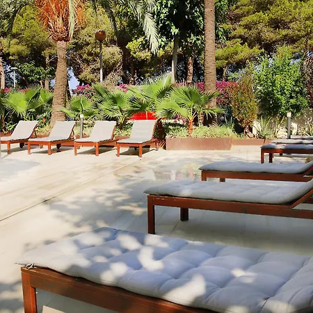 Morito كالا مييور